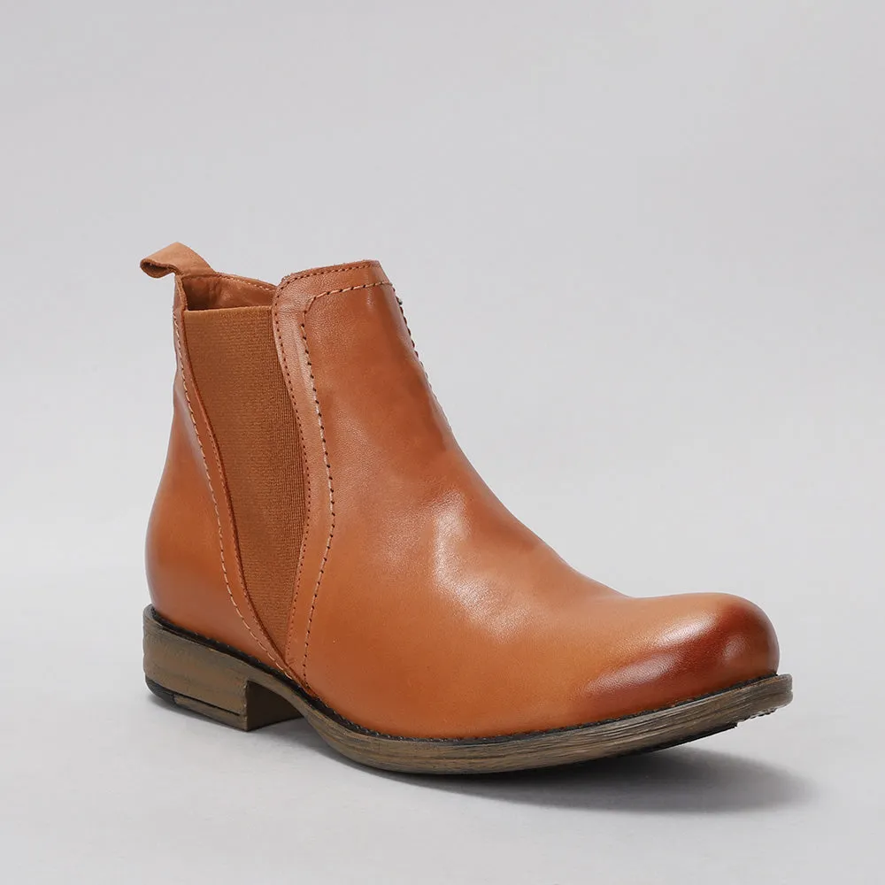 Dutch - Tan