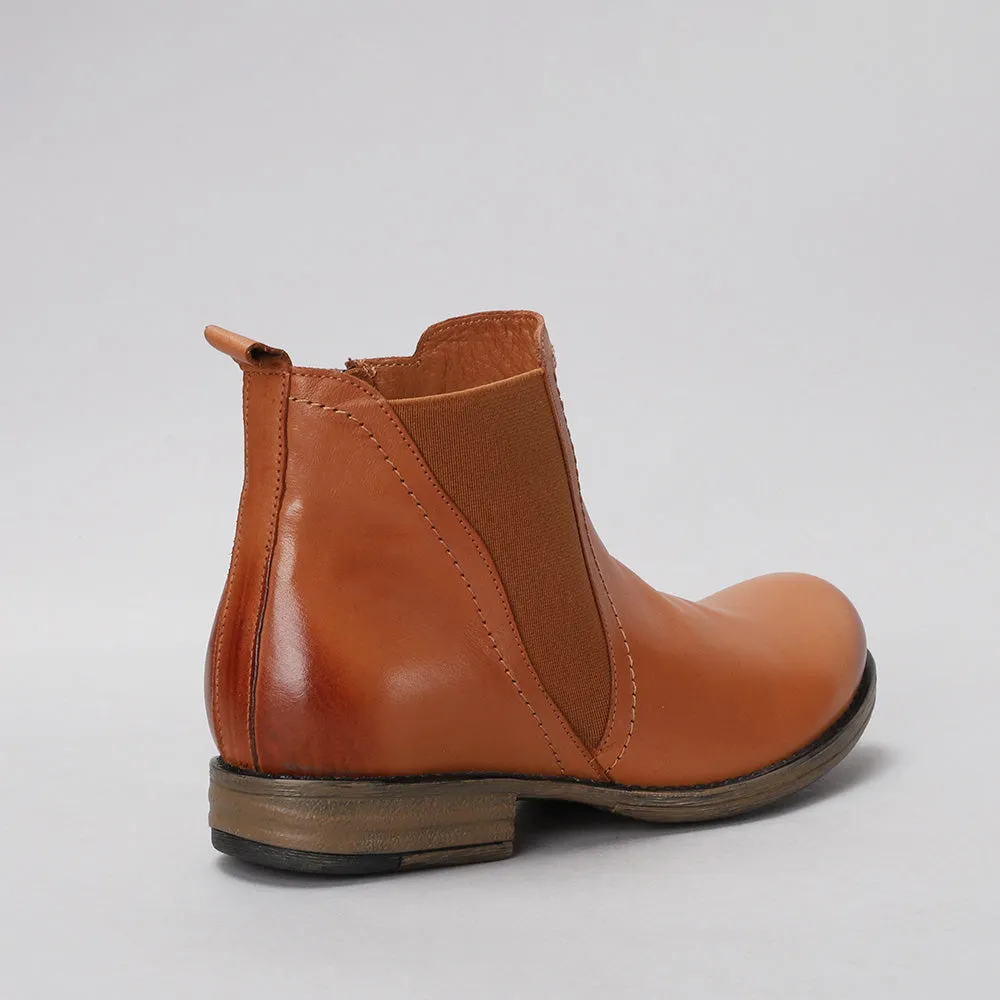 Dutch - Tan