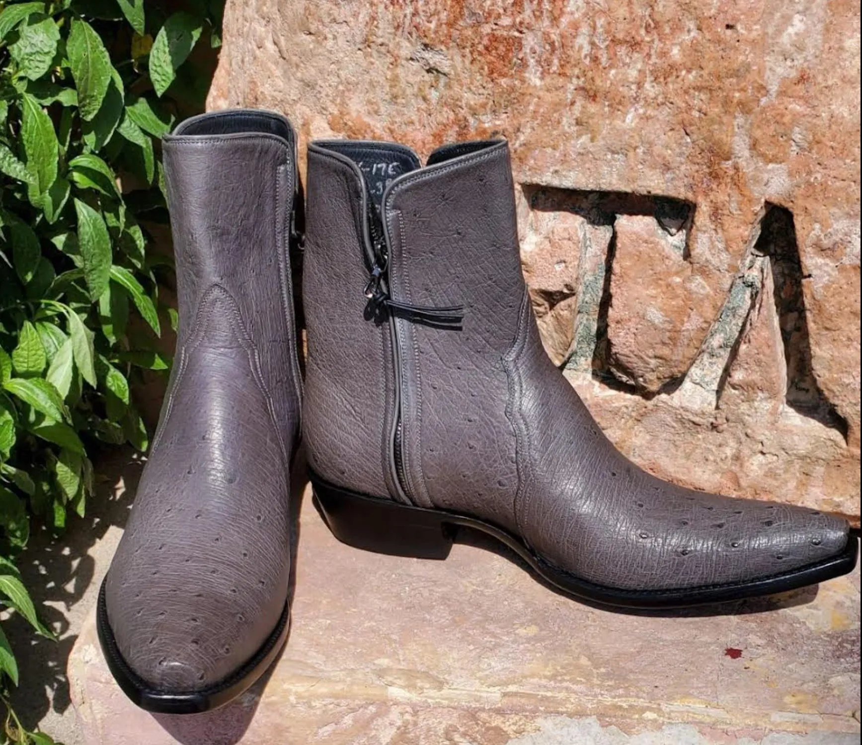 Gris Smooth Ostrich ZG