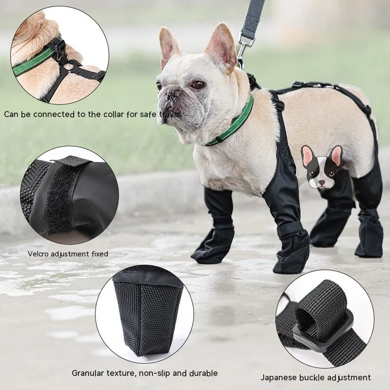 Keep Those Paws Dry and Protected in Style!