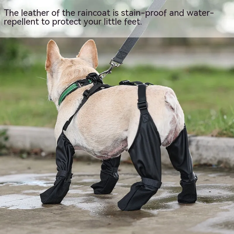 Keep Those Paws Dry and Protected in Style!