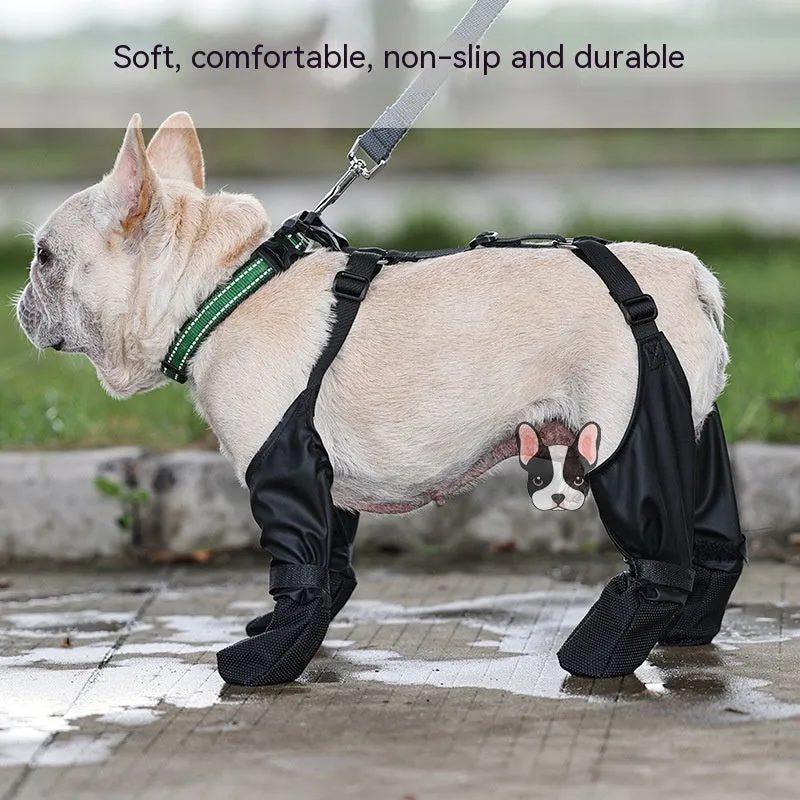 Keep Those Paws Dry and Protected in Style!