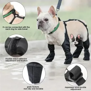 Keep Those Paws Dry and Protected in Style!