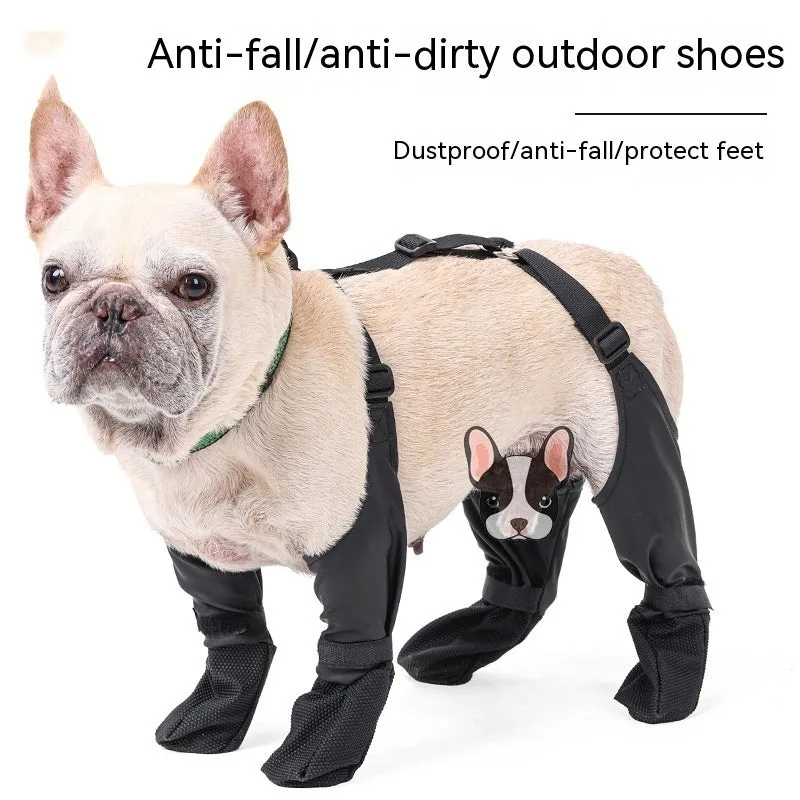 Keep Those Paws Dry and Protected in Style!