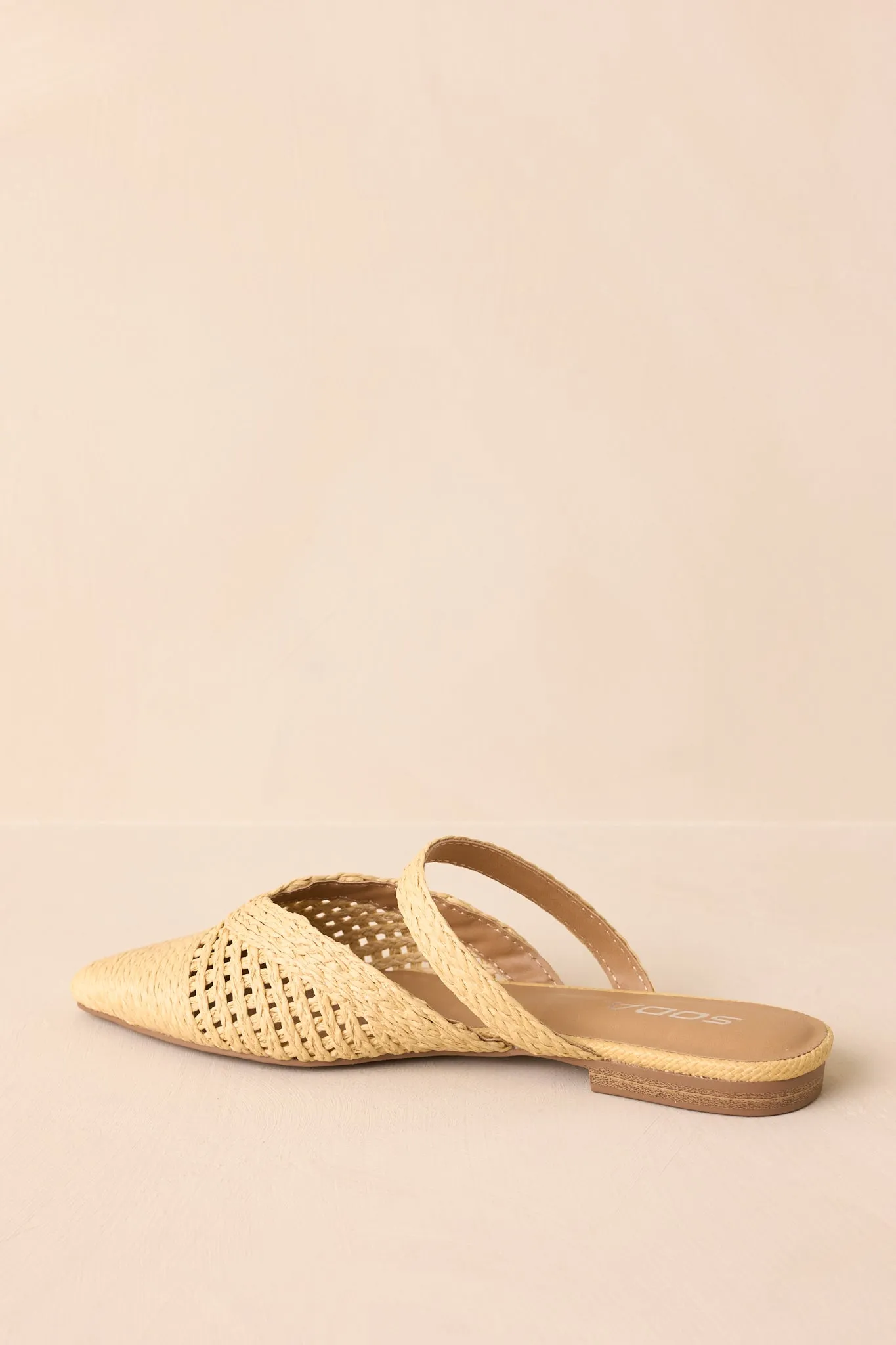 There She Goes Natural Pointed-Toe Woven Raffia Mules