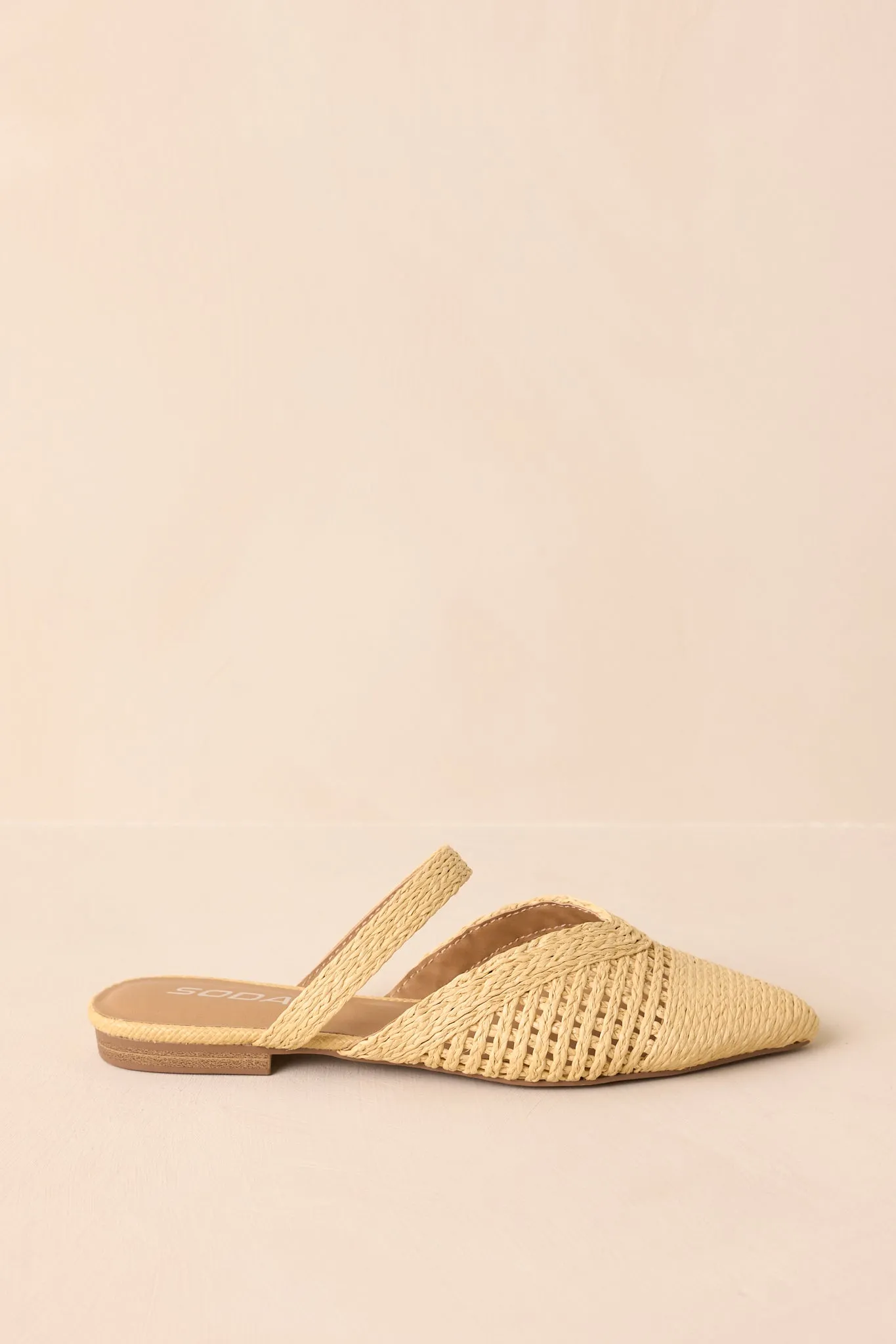 There She Goes Natural Pointed-Toe Woven Raffia Mules